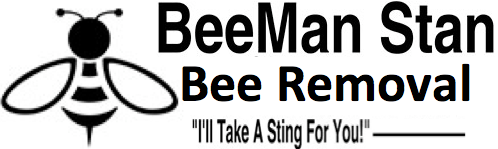 bee removal south florida